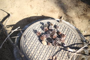 よく食べる子も、結構大変なんです。