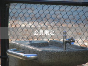 【会員限定】夫と私　夫を変えようと思うことは間違いじゃない