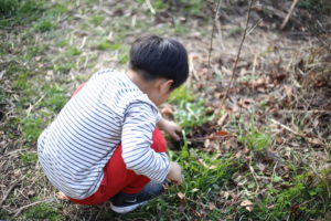 帰省して気づいた、私が育った『環境』 さて我が子には何が『良い』のか