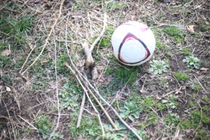 ※不定期/ 途中から有料記事【ヨロヨロ独立日記①】仕事復帰～『独立』がチラチラ見え始めたこと