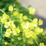 『私だけじゃない』そう思うだけで少し救われるのはなぜ?