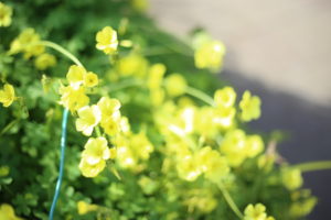 『私だけじゃない』そう思うだけで少し救われるのはなぜ？