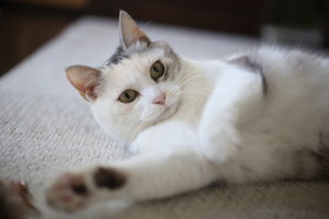 「ちゃんとやって」それだけを言えばいいと思う