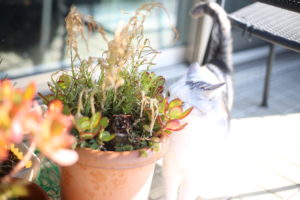 オバサンのパンツ問題