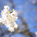 【会員限定】『夫じゃなく私が悪いのかも』と『私は悪くない』の間にあるもの