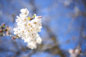 【会員限定】『夫じゃなく私が悪いのかも』と『私は悪くない』の間にあるもの