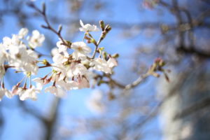 夫婦していまからちょっと焦っている件