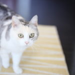 なんか言いやすい人 言われやすい人 いるよね ちなみに私は
