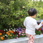 【強者】だった昔の私の話