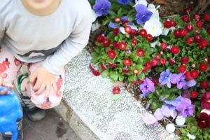 知らなかった。ネガティブ・ケイパビリティ 保険で片付けない力でもあるかなって