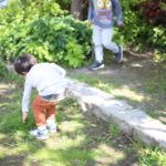 核家族の【脆弱性】タラレバ妄想に逃避してみる