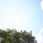 オモチャ大盤振る舞い　大富豪のようだ(笑)