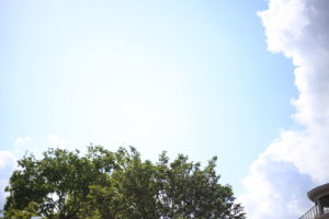 オモチャ大盤振る舞い　大富豪のようだ(笑)