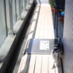 先人の知恵が蓄積されて活用されることと、されないことと。我が家の失敗。