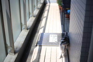 先人の知恵が蓄積されて活用されることと、されないことと。我が家の失敗。