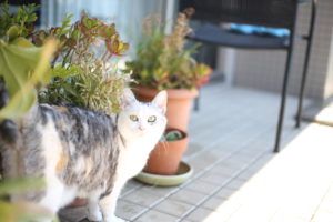 「差別とは何か？」はっきりと言葉で説明できますか？