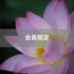 【会員限定】どうしてわかってくれないの?って実はわかってるということ。
