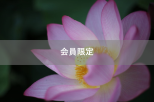 【会員限定】どうしてわかってくれないの？って実はわかってるということ。