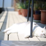 「おべんきょうは、たのしくない。なんかつかれる。」最初が肝心なのか