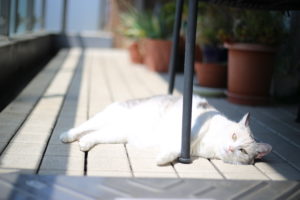 「おべんきょうは、たのしくない。なんかつかれる。」最初が肝心なのか