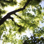 【オンライン飲み会】ママ／子持ちの課題