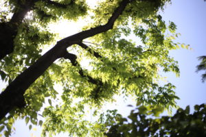 【オンライン飲み会】ママ／子持ちの課題