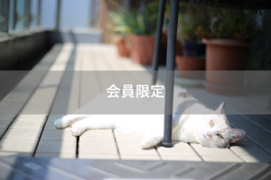 【会員限定】そもそもこの『結婚』を続けるのかあやふやになる時が、まだまだあるのだということ。