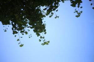 そういえば九州の女だった母　思い出してもゾッとする母と娘のあの作業