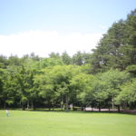 『営業』なんて誰にでもできると思っていましたが、そうでもないのか