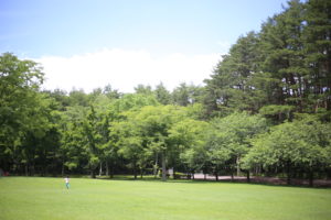 次男の心が知りたい 『こどもだから』と安易に理解したような気にならないようにしたい