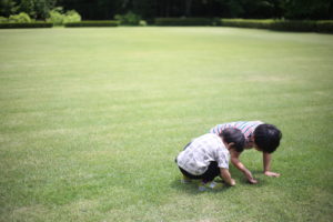 放っておけば自分で学んでいくであろう長男と、多分放っておくとそのままであろう次男