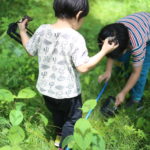 楽天ショップを運営している私が楽天アフィリエイトをやるとどうなるか。
