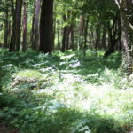 産後ってなんであんなに本読めなかったんだろう。