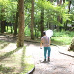 少子化 女たちの『無意識のボイコット』だと思うんだけど