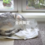 【会員限定】離婚事由ベスト５にランクイン！「休みの日くらい寝かせてよ。」