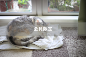 【会員限定】離婚事由ベスト５にランクイン！「休みの日くらい寝かせてよ。」