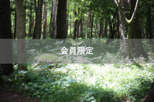 【会員限定】収入の高いほうが仕事に集中、収入の低いほうが家事育児を多く負担