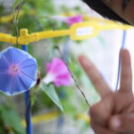 小学校プリント地獄　学校のプリントってどうしてあんなにわかりにくいの？