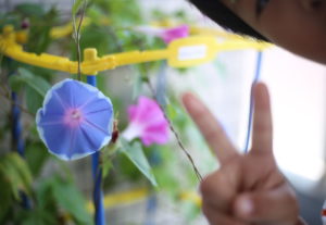 小学校プリント地獄　学校のプリントってどうしてあんなにわかりにくいの？