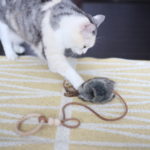 『子供でもできること』は定期的に見直し