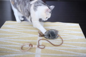 『子供でもできること』は定期的に見直し