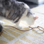 「ぼくも早帰りしたい。」小１長男に言われました。