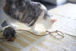 「ぼくも早帰りしたい。」小１長男に言われました。