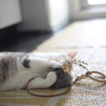 どうしたら子供増えると思う？私たちが考えたほうがきっと効果あると思わない？