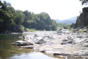 子供に対する性犯罪 積極的に反対するのは女親ばかり の理由