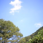 子供がいることは『弱点』なのか　転んだおばあちゃんに出会った話。