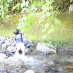 息子がいなくたって子供がいなくたって読むべし『男の子の育て方を真剣に考えたら…』