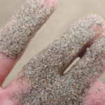 【急な休園・休校】と長期戦