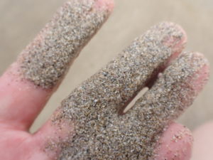 【急な休園・休校】と長期戦