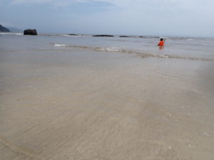 子供と海水浴最適化中　下田大好きだけど遠い！！！来年は沼津狙い